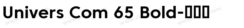 Univers Com 65 Bold字体转换